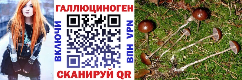гидра ССЫЛКА  Нерюнгри  Галлюциногенные грибы Magic Shrooms 