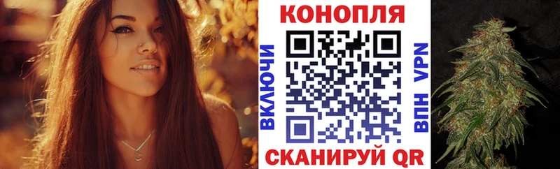 shop официальный сайт  Нерюнгри  Конопля ГИДРОПОН  закладка 